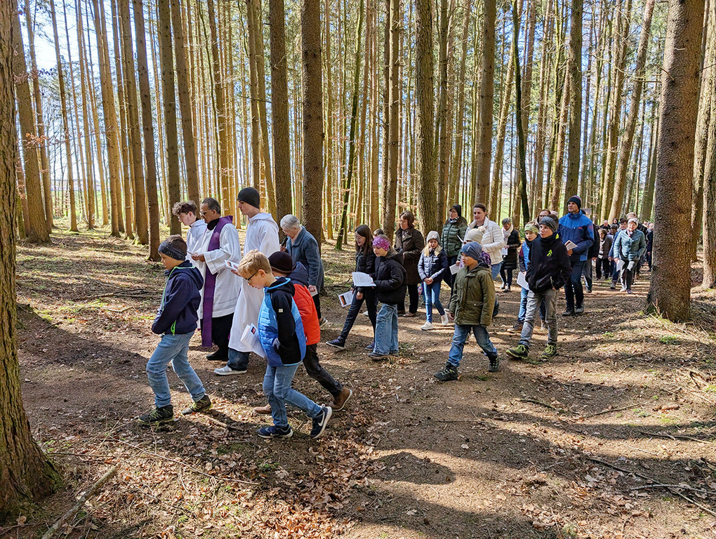 20250406 124231639 web